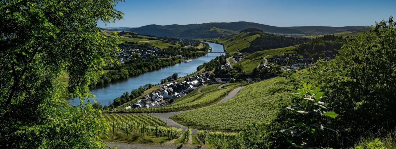 Wein- Und Gaestehaus Genetsch Lieser Exterior foto