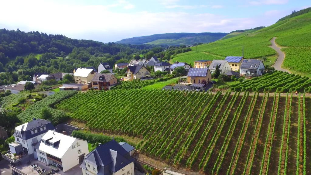 Wein- Und Gaestehaus Genetsch Lieser Exterior foto