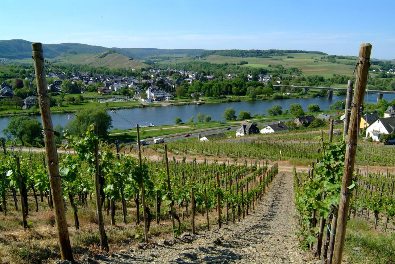 Wein- Und Gaestehaus Genetsch Lieser Exterior foto