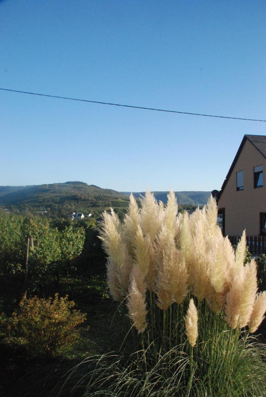 Wein- Und Gaestehaus Genetsch Lieser Exterior foto