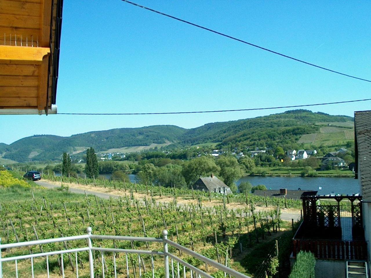 Wein- Und Gaestehaus Genetsch Lieser Exterior foto