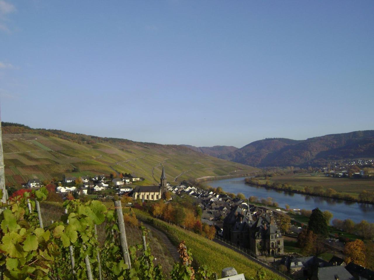 Wein- Und Gaestehaus Genetsch Lieser Exterior foto